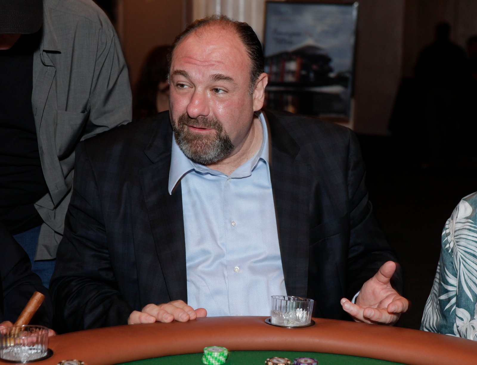 1791179572 682 Where Are the Stars of The Sopranos Now A Look