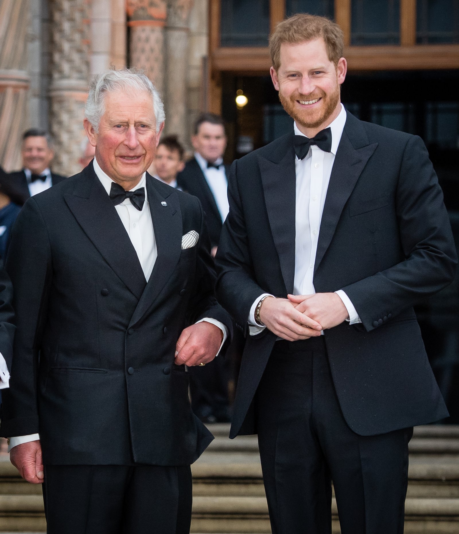 1791434003 89 What William Truly Needs from Harry for Reconciliation According to