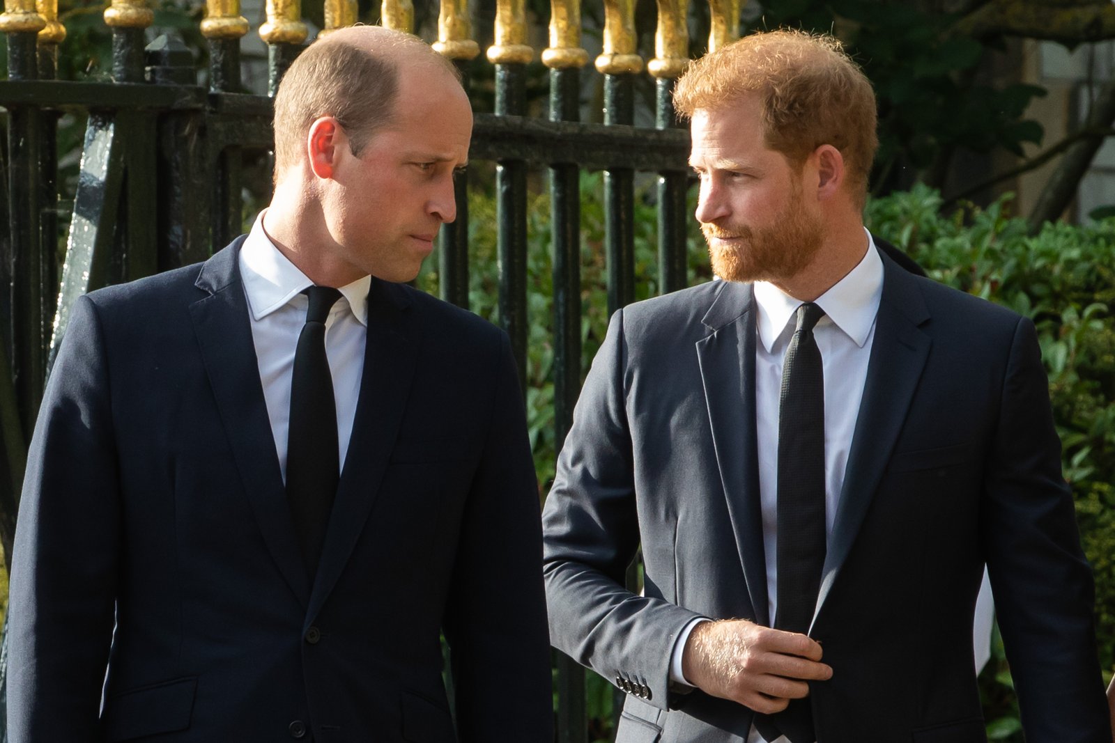 1791434003 967 What William Truly Needs from Harry for Reconciliation According to